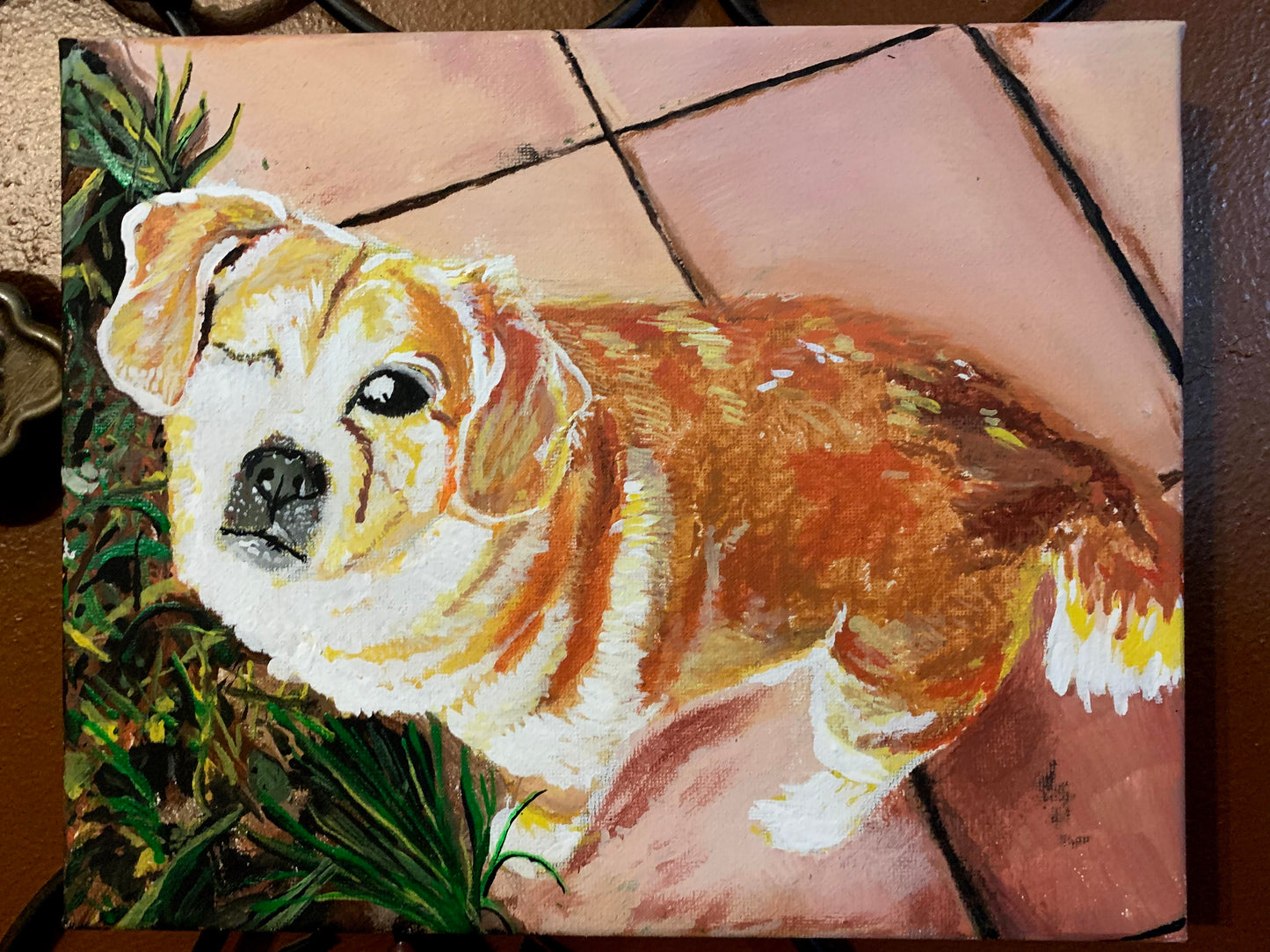 Custom Painted Pet Portrait on 8 in x 8 in Canvas