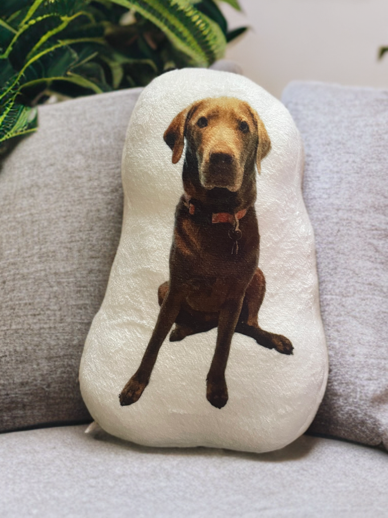 Custom Pet Stuffy