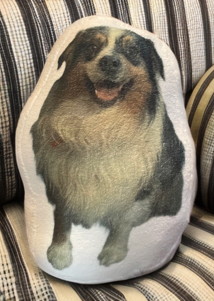 Custom Pet Stuffy