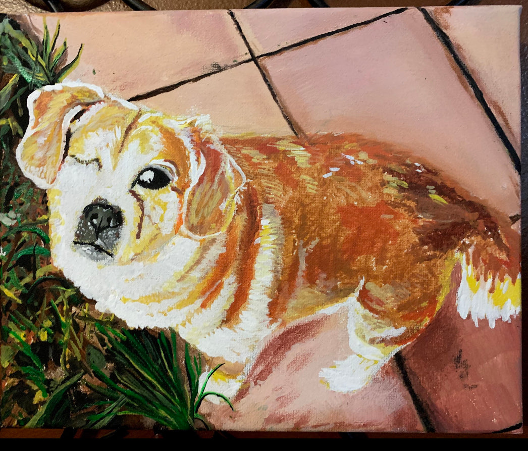 12 in x 12 in Canvas Custom Pet Portrait Painting